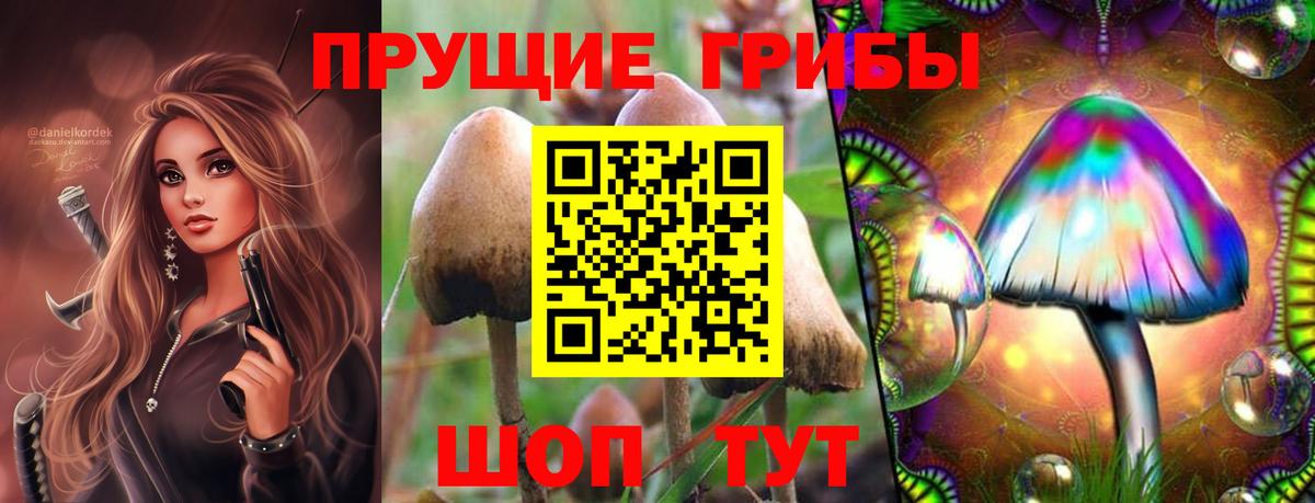 Галлюциногенные грибы прущие грибы Белебей